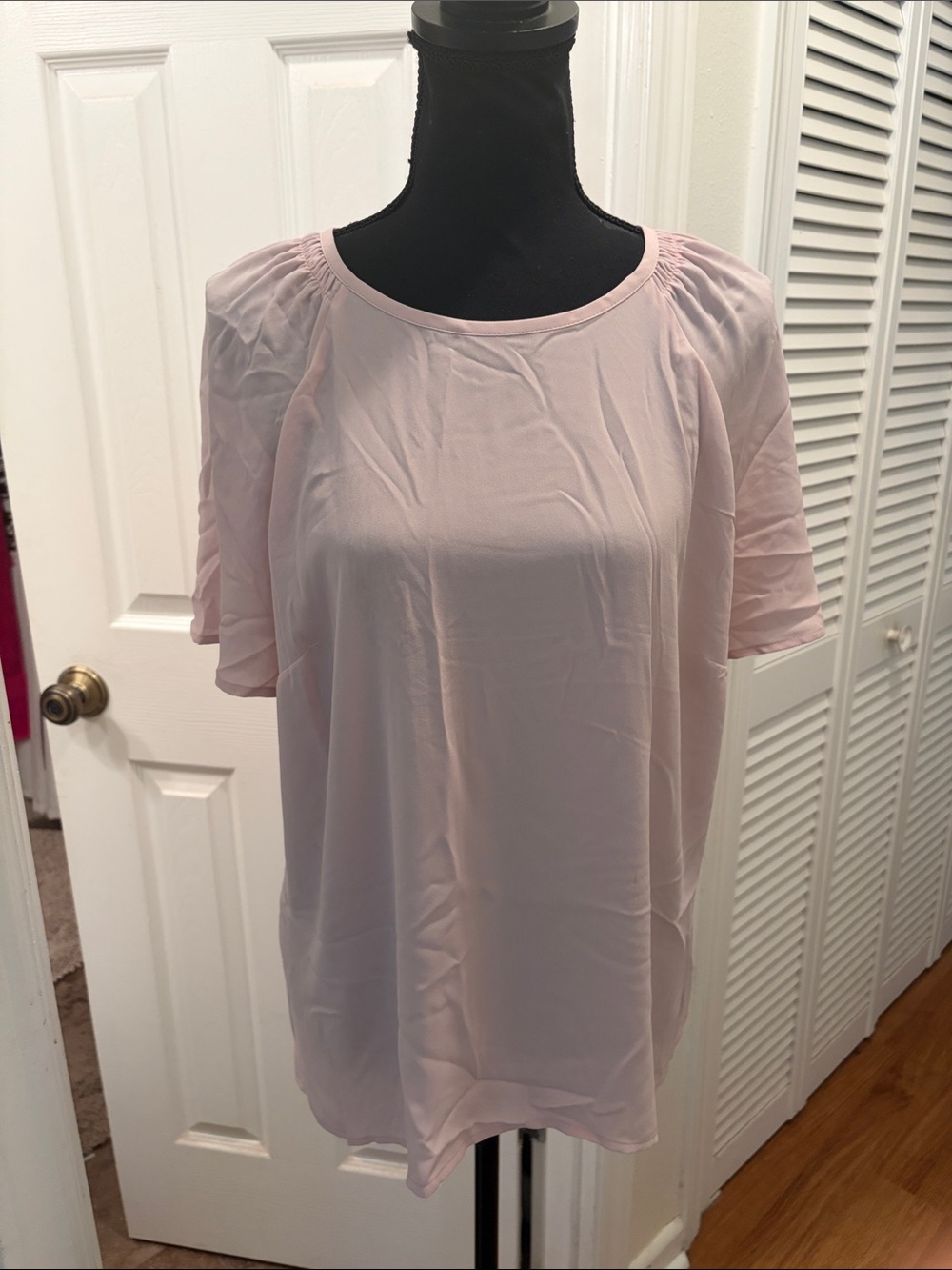 Express Light Pink Women’s Sheer Short Sleeve Blouse